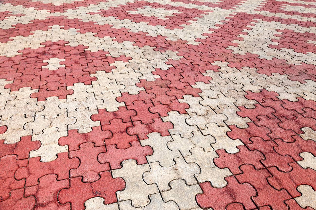 Tortoise Paver Blocks in Nagpur
